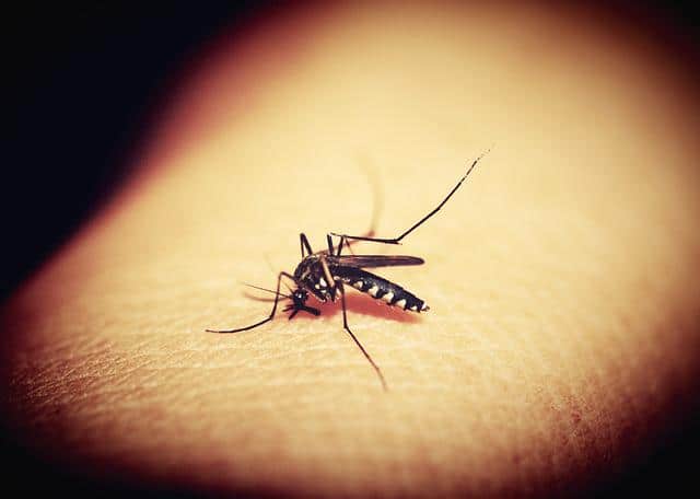 patch anti-moustique bébé
